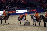 Quadrille - 00085